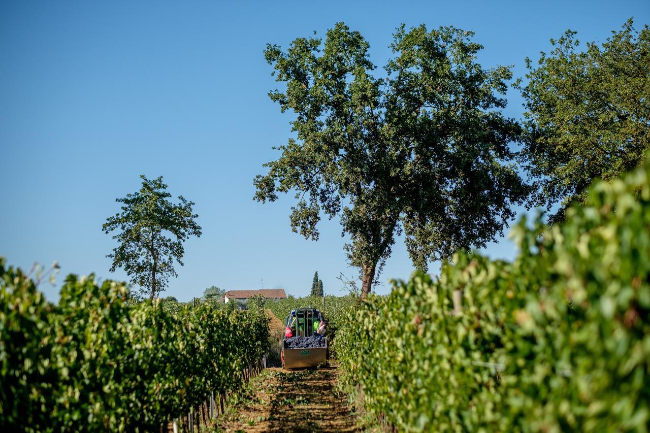 Agriturismo Podere La Rocca Аббадия-ди-Монтепульчано Экстерьер фото